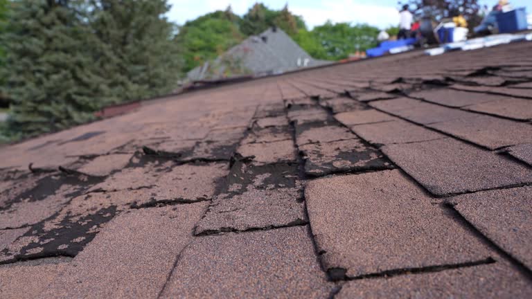 Best Metal Roofing Installation  in Mauriceville, TX